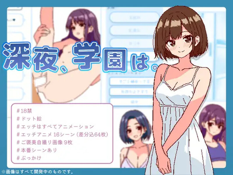 新官中[爆款SLG/像素动态] 深夜学园 深夜、学園は。 Ver1.1.0 官方中文版 [550M]-Acggame